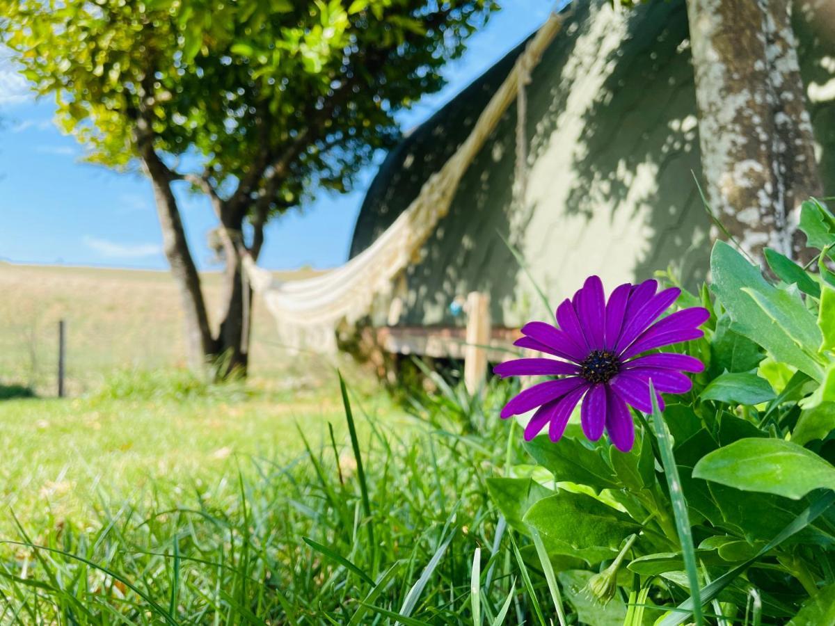 Corredoura Glamping Turquesa, Feel And Relax In A Wood House旅馆 外观 照片